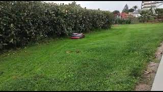 Navimow Beta Test Video from Spain
Another beta test video from our customers in Spain, Navimow is running smoothly. Click and check how it really works.
For more information about our Navimow, please visit our official website: http://navimow.segway.com/
To get the latest news and first-hand updates, please follow our Facebook page: https://www.facebook.com/segway.navimow
To be our first fans and get to know more user experiences, please join our Facebook group: https://www.facebook.com/groups/navimow Navimow Beta Test Video from Spain