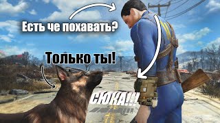 Самая БРУТАЛЬНАЯ модификация для Fallout 4 Horizon Survival. Как это проходить?