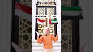 Mengenal Masjid Raya Sheikh Zayed, Hadiah Presiden UEA untuk Jokowi