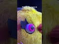 Toy Story no Disney On Ice