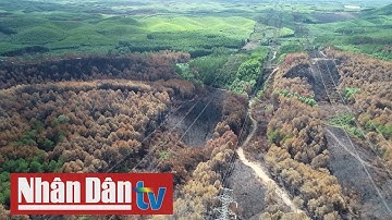 Bảo vệ hành lang lưới điện truyền tải trước nguy cơ cháy rừng