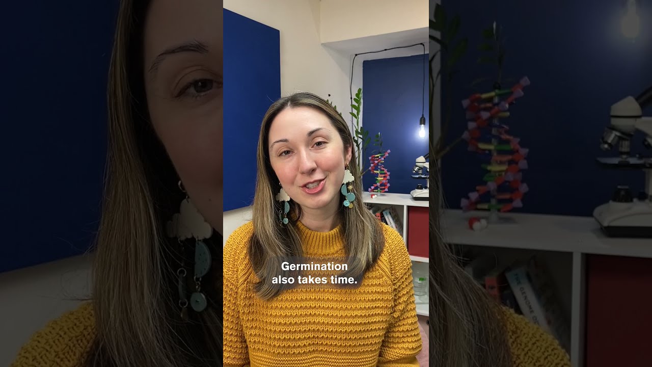 The Fascinating Process Of How A Seed Grows Into Plant