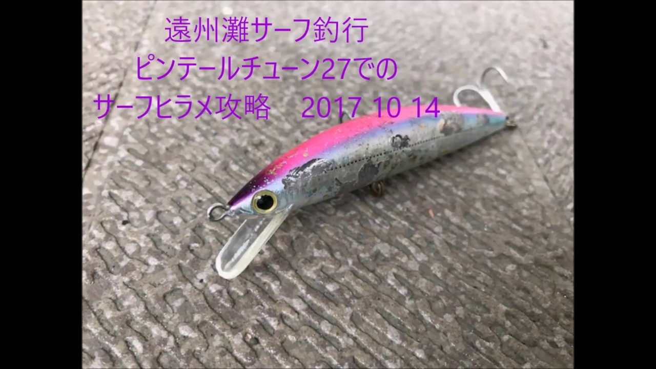 遠州灘サーフ釣行 ピンテールチューン２７にて攻略 Youtube