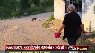 Hayati Yarali Kedi̇yi̇ Sahi̇plenmesi̇yle Deği̇şti̇