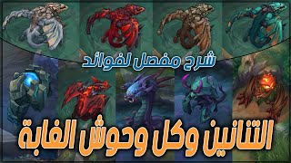 اعرف كلشي عن وحوش الغابة والتنانين وانواعها في Wild rift وما هي فوائدها لك ولحلفائك | شرح مبسط