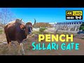 Sillari gate  pench tiger reserve  4k
