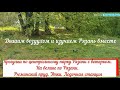 Прогулка по центральному парку Рязани с ветерком. Изучаем Рязань вместе. Рюминский пруд, утки, лодки