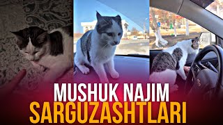 MUSHUK NAJIM SARGUZASHTLARI 2024 | AZIK BOOM