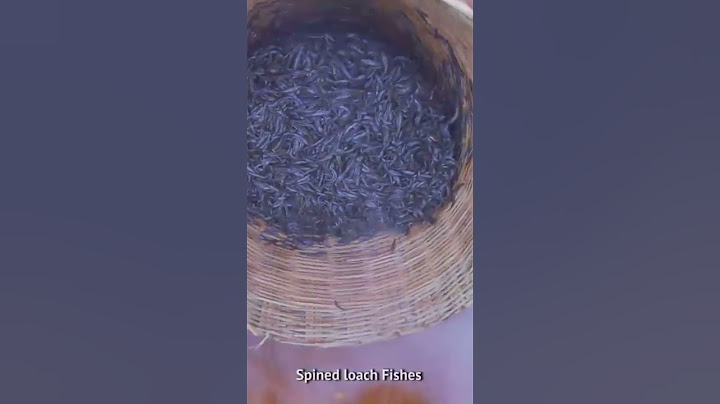 10 MILLION TINY FISHES   Ayira Meen   Rare River Fish Cleaning and Cooking In Village   Fish Recipes