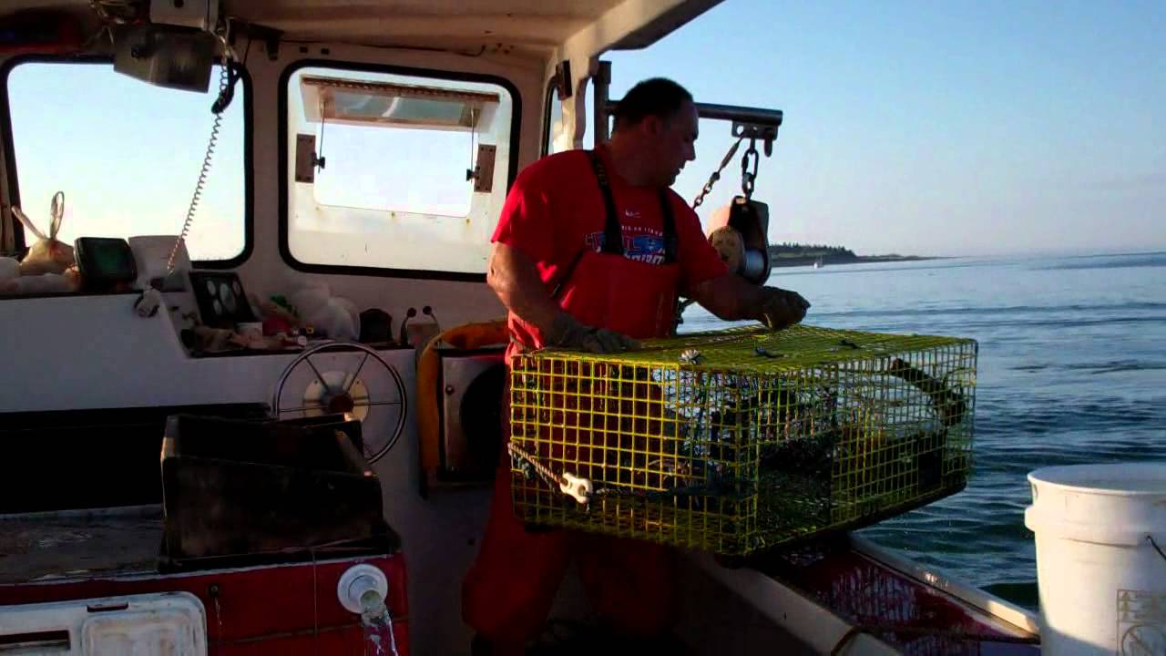 Lobster Fishing in Maine.(HD) - YouTube