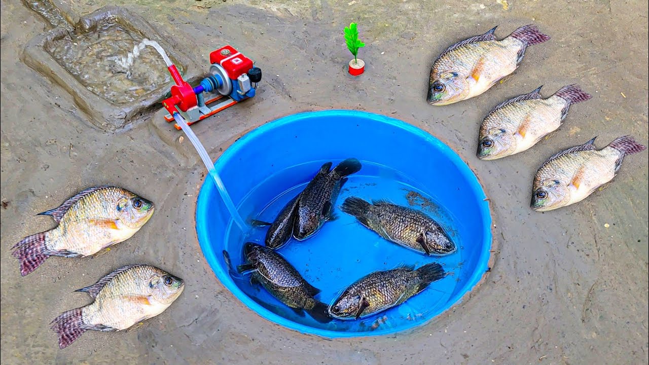 Water pump fishing - How To Catch Koi Fish Using Mini Water Pump ...