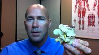 What is Subluxation? Buzz word in chiropractic explained by Dr. Mike Robb of Fix24