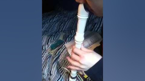 Ode to joy recorder with nose!!!