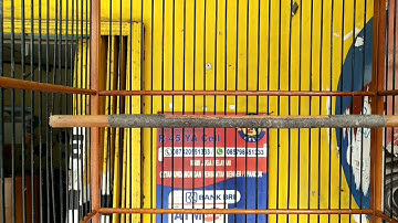 SUARA BURUNG PANCAWARNA PANCINGAN