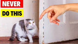 Mistakes Cat Owners Make, NEVER Do This! (Common Indoor Cat Mistakes) #catlovers #catbreed #cat by Geographic Animalz 624 views 5 months ago 2 minutes, 53 seconds