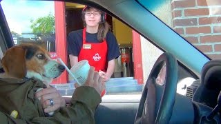 DOG IN THE DRIVE THRU!