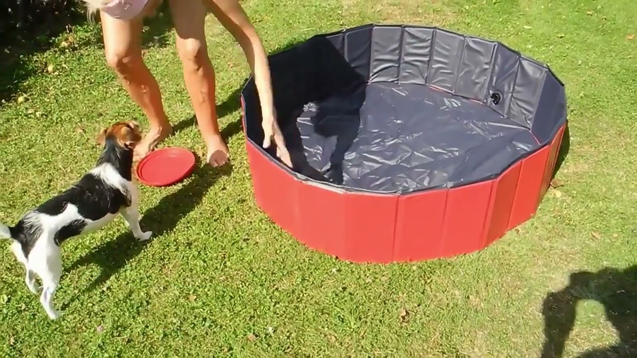 Unveiling the Foldable Dog Pet Bath Pool: A Splash of Fun and Convenience!