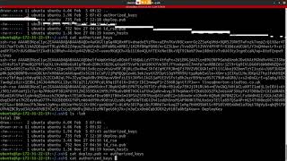 Continuous Deployment with Travis