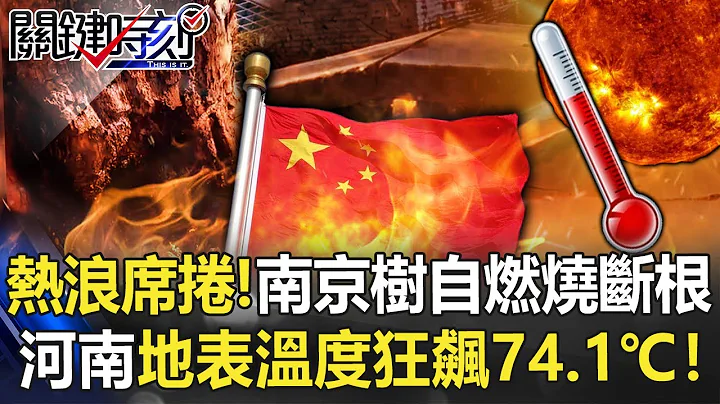热浪席卷！南京树木自燃烧断根 河南地表温度狂飙74.1℃道路“烫到爆”！【关键时刻】20220621-3 刘宝杰 姚惠珍 - 天天要闻