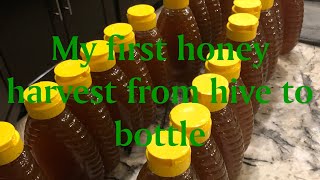 My first Honey harvest from start to finish #permaculturelife