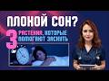 Плохой сон? Эти 3 растения могут помочь