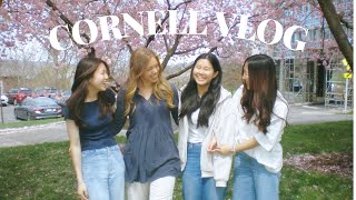 cornell vlog | cherry blossoms, queen of tears, karaoke | sophomore year