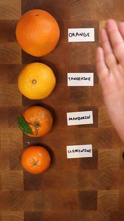 Is there a difference between Orange, Tangerine, Mandarin & Clementine?