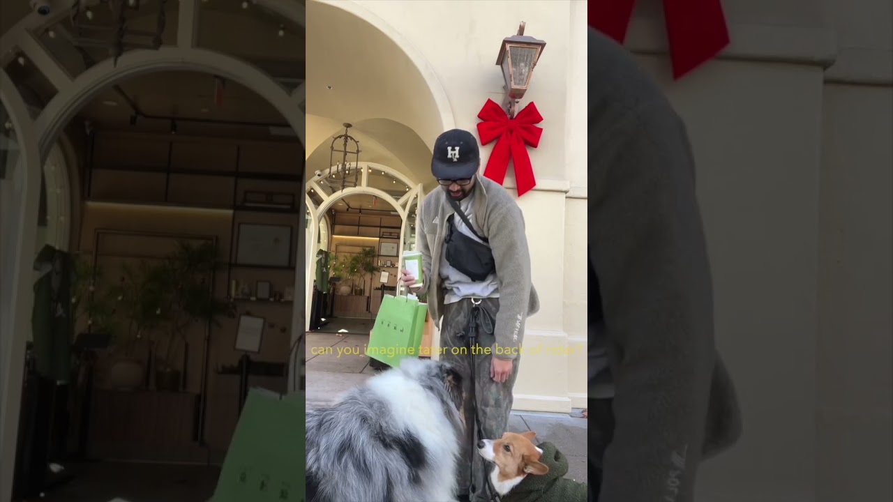 Taking Compliments is Painful for me (but I’m trying to be better at it)