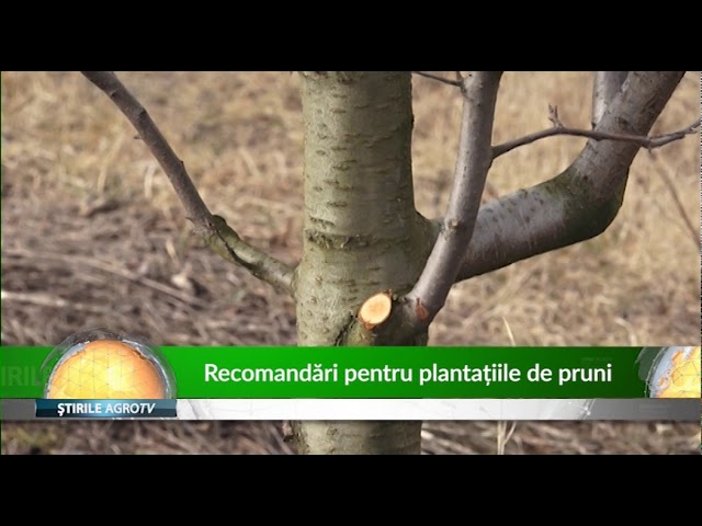 lenjerie de corp de compresie în vene varicoase inspecția unui medic varicoză