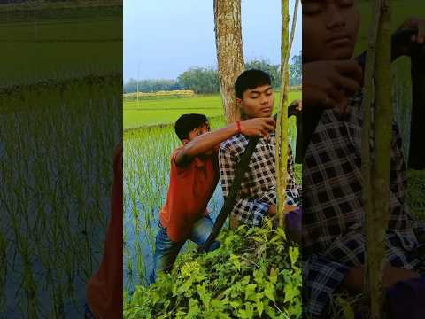 The man was sleeping under the tree.#villagefunny520 #shorts #funny #comedy #viralvideo #shortvideo