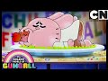 Kandydat | Niesamowity świat Gumballa | Cartoon Network