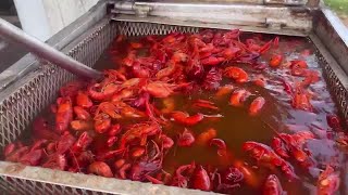 Crawfish prices begin to fall