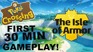 Level Scaling was a LIE! (Pokemon Sword and Shield Isle of Armour DLC)