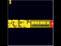 Skinlab - The Mesengers - Never Give In  A Tribute To Bad Brains