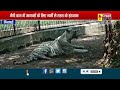 मैत्री बाग में जानवरों को गर्मी से बचाव