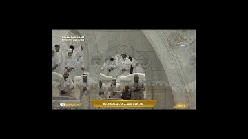 تلاوة عشائية من روائع الحرم المكي، بصوت معالي الشيخ، عبد الرحمن السديس _ من سورة الشعراء.