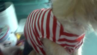 CLIP0630