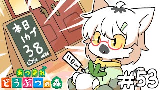 【 あつまれどうぶつの森 】島民たちの家もリフォームしてやらなきゃなぁ #53【白瀧炬燵/One Lyric】