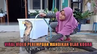 Viral, Video Perempuan Mandikan Ular Kobra Ini Bikin Bergidik