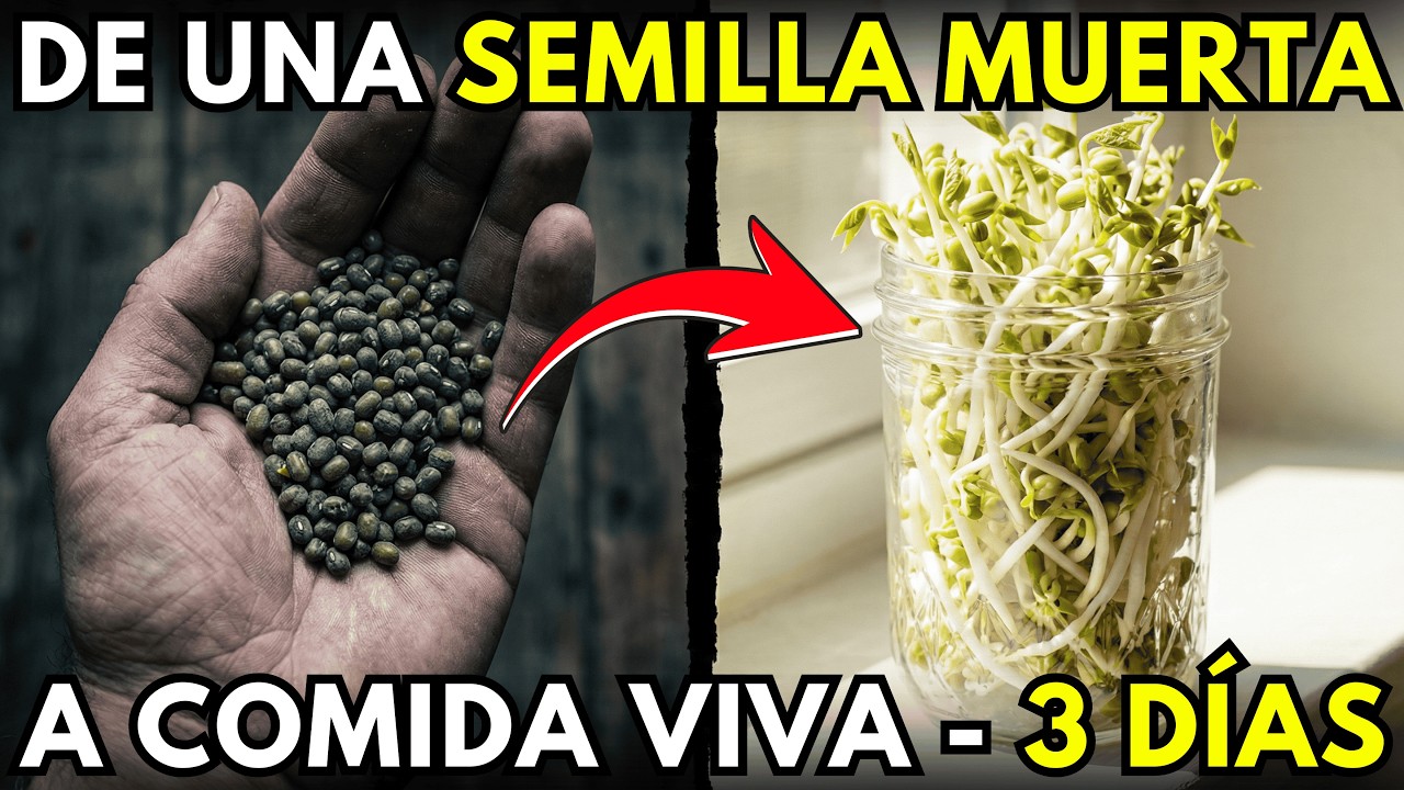 El Superalimento Secreto de la NASA. Cultívalo en un Tarro (Sin Tierra). Truco de 5 Min.