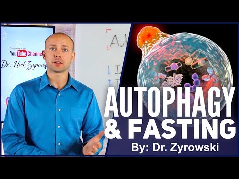 Autophagy And Fasting | Your Health Depends On It