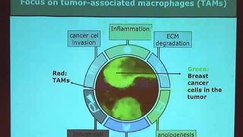 Combining Nanobodies and SPECT for Imaging of Inflammation  - Nick Devoogdt, Ph.D - RSDSA