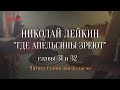 Николай Лейкин. «Где апельсины зреют». Аудиокнига. Главы 31 - 32