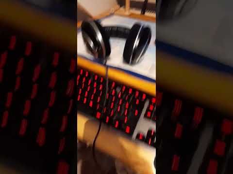 POV Du willst nur zocken
