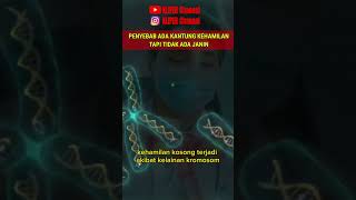 PENYEBAB ADANYA KANTUNG KEHAMILAN TAPI TIDAK ADA JANIN #keguguran #hamilkosong #fyp #short #shorts