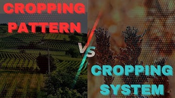 Cropping system & cropping pattern 👀 #agronomy #agriculture