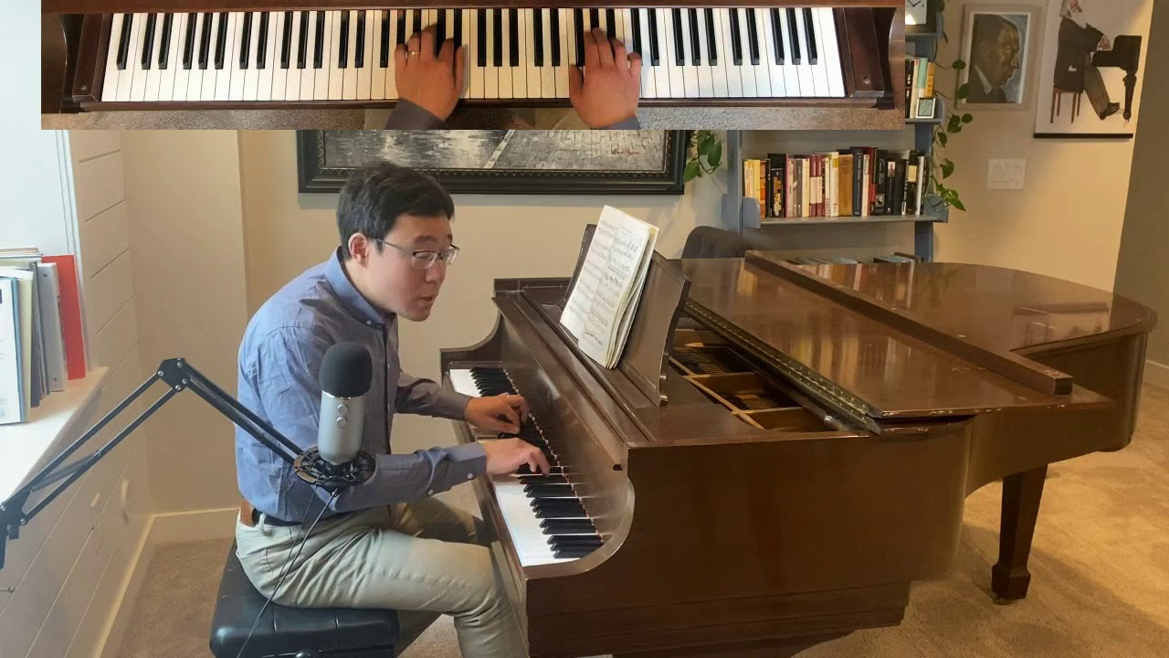 Соната Гайдна для фортепиано ми-бемоль мажор, Hob XVI:52 № 62, обучающая программа (первая часть,...