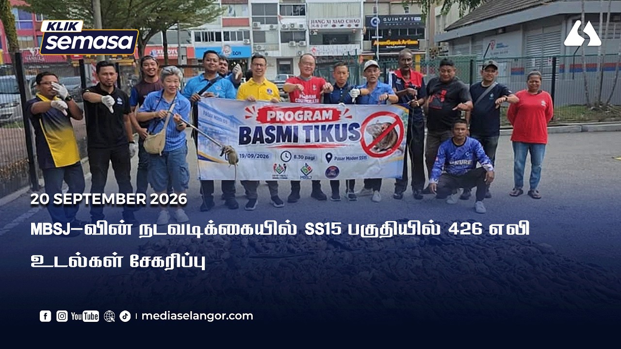 Over 400 rat carcasses collected around SS15 during MBSJ operation