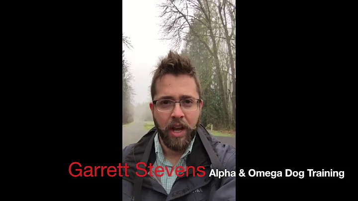 Garrett Stevens' Alpha Omega Dog Training  Get you...