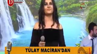 Tülay Maciran - Gülüzar Resimi
